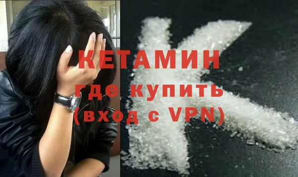 шишки Магас