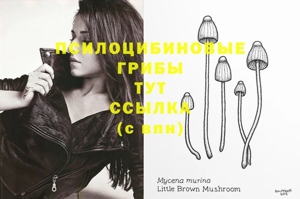 винт Алзамай