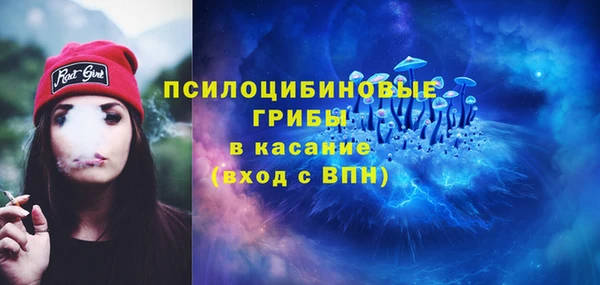винт Алзамай